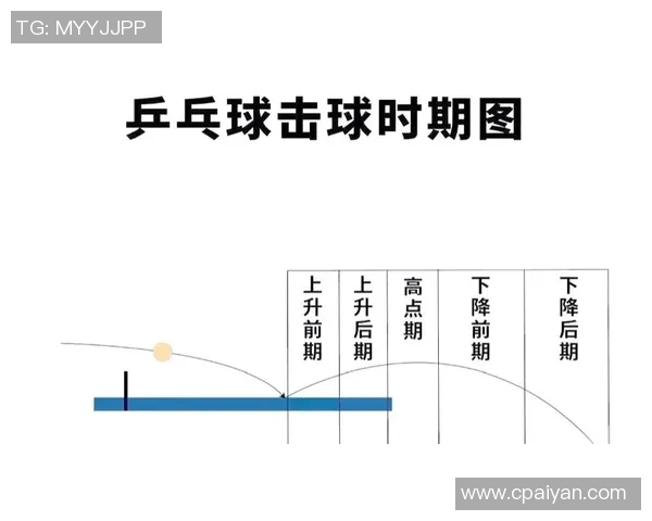 西安乒乓球队的节奏揭秘与训练背后的故事与精神 西安乒乓球队的节奏揭秘与训练背后的故事与精神