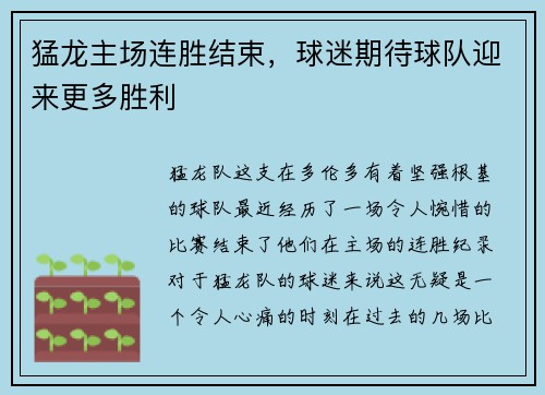 猛龙主场连胜结束，球迷期待球队迎来更多胜利
